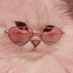 Meet your Posher, Johanna